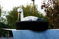 Car tire mimics the nest of a plastic stork