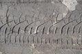 car tire print on the ground Royalty Free Stock Photo