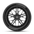 Car tire radial wheel metal alloy on isolated background vector