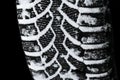 The car tire in the snow close up. Car tracks on the snow. Traces of the car in the snow. Winter tires. Tyres covered with snow at