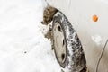 Car tire in the snow drift