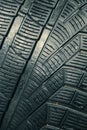 Car tire texture rape plan. tread pattern