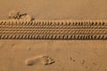Car tire traces on beach sand in Morocco Royalty Free Stock Photo