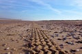 Car tire tracks leading through sand beach with blue summer sky background Royalty Free Stock Photo