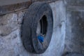 Car tire used as a shelf for things