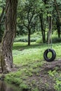 Car tire used as swing on tree forest near creek stream Concept photo of childhood nostalgia memory retro vintage