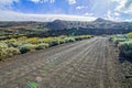 Car tires marks on dirt desert road leading to the mountains in the Canary Islands, Spain