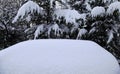 Car totally under snow