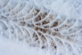 Car track in fresh snow. Detail of car tire track in snow pattern Royalty Free Stock Photo