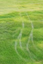 Car tracks on a green grass background Royalty Free Stock Photo