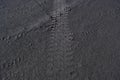 The car tracks on the ground. Tyre track on dirt sand or mud Royalty Free Stock Photo