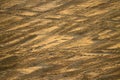 car tracks on the sand Royalty Free Stock Photo