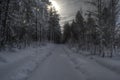 Car tracks after small snowy forest road in wintertime