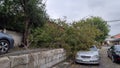 Car Trapped Under Fallen Tree After Wind Storm. Hurricane effects