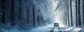 A car travels through a snow forest, a journey in winter wonder. The road weaves through frosted trees under a soft