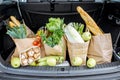 Car trunk with shopping bags and products