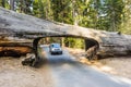 Car and tunnel log in Sequoia National Park Royalty Free Stock Photo