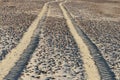 Car tyre tracks on beach sand Royalty Free Stock Photo