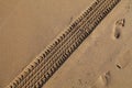 Car tyre tracks on beach sand Royalty Free Stock Photo