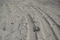 Car Tyre Tracks On The Beach Sand In Perspective. Car Tire Prints On A Road Leading To Beach Covered In Sand. Wheel Tracks On The Royalty Free Stock Photo