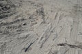 Car Tyre Tracks On The Beach Sand In Perspective. Car Tire Prints On A Road Leading To Beach Covered In Sand. Wheel Tracks On The Royalty Free Stock Photo