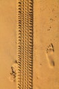 Car tyre tracks imprinted on beach sand Royalty Free Stock Photo