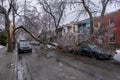 Car under broken icy tree after freezing rain