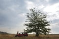 Car under lone tree Royalty Free Stock Photo