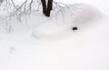 Car under snowdrift