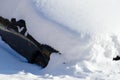 Car under snowdrift in city yard after heavy snowfall Royalty Free Stock Photo