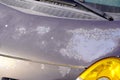 Car used peeling grey silver paint on grunge hood of old automobile Royalty Free Stock Photo