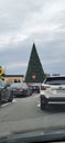 Car view of a large christmas tree in sarasota Florida