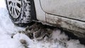 Car wheel on dirty messy snow. Mud, salt and chemicals on winter road. Ecology in city. Protection and wash auto concept. Royalty Free Stock Photo