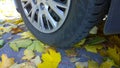 Car wheel on road. Close up. Yellow fallen maple leaves on asphalt. Golden autumn street. Travelling. Driving. Automobile hubcap.
