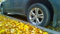 Car wheel on road. Yellow dry fallen leaves on asphalt. Golden autumn street. Travelling. Driving. Automobile hubcap. Protection