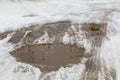Car wheel and tire tracks on a small puddle of melted snow. Royalty Free Stock Photo