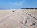 Car wheel tracks in the sand