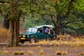 Car with wild tiger. Holiday in Ranthambore NP, India. End of dry season, beginning monsoon. Tiger walking on gravel road. Nature