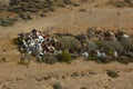 Car wreck scrapmetal junkyard pile abandoned in outback Australia Royalty Free Stock Photo