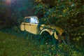 Car wreck yellow plants green Royalty Free Stock Photo