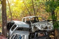 Car wreckage with trees. Royalty Free Stock Photo