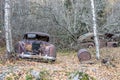 Car wrecks in the forest Royalty Free Stock Photo