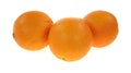 Cara Cara Jumbo Navel Oranges