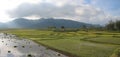 Cara ricefields with cloudy sky, Ruteng, Flores, Indonesia, Panorama Royalty Free Stock Photo