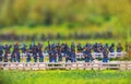 Carabine toy soldiers marching in blue uniform military forces of the union in the american civil war Royalty Free Stock Photo