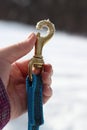 Carabiner for bronze dog leash