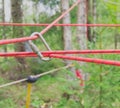 Carabiner connects the rope to the belay in a forest