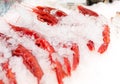 Carabinero shrimps on ice at local market