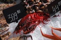 Carabinero shrimps and other seafood on ice. Wholesale market