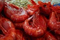 Carabineros Scarlet Shrimp for sale at Cadiz fish Market